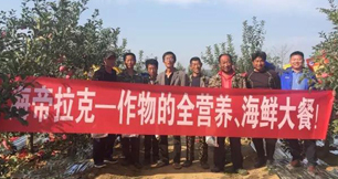 蘋果樹12月管理技術要點！抓緊時間看
